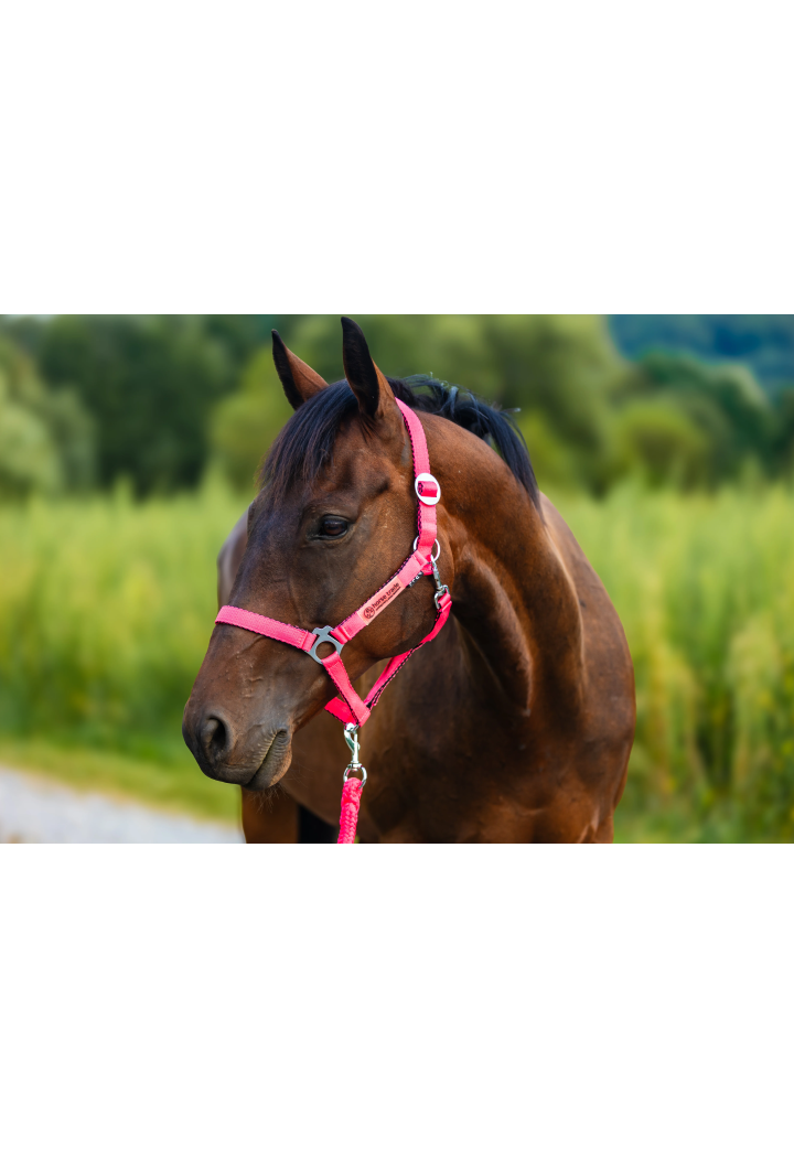 Ohlávka HORSE-TRADE Soft Neon