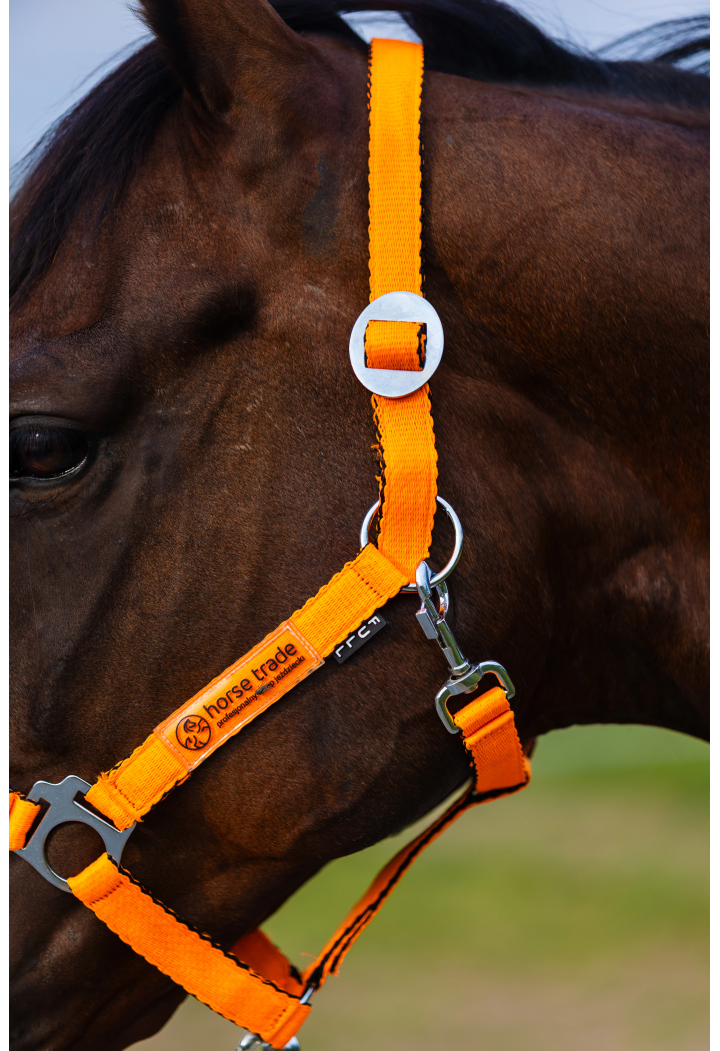 HORSE-TRADE Soft Neon Halfter