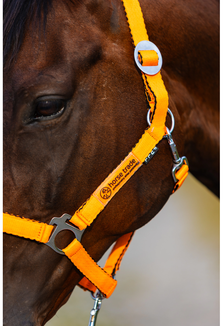 Căpăstru HORSE-TRADE Soft Neon
