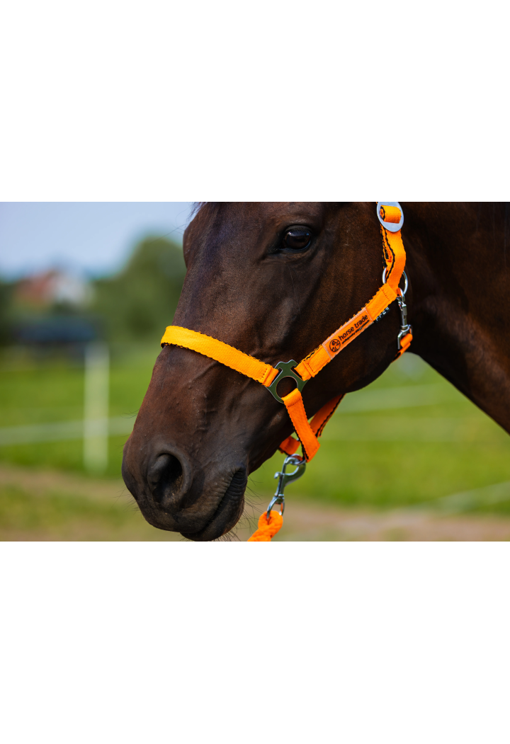 HORSE-TRADE Soft Neon Halfter