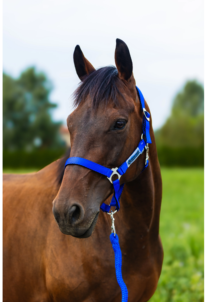 Vodítko HORSE-TRADE Soft Neon