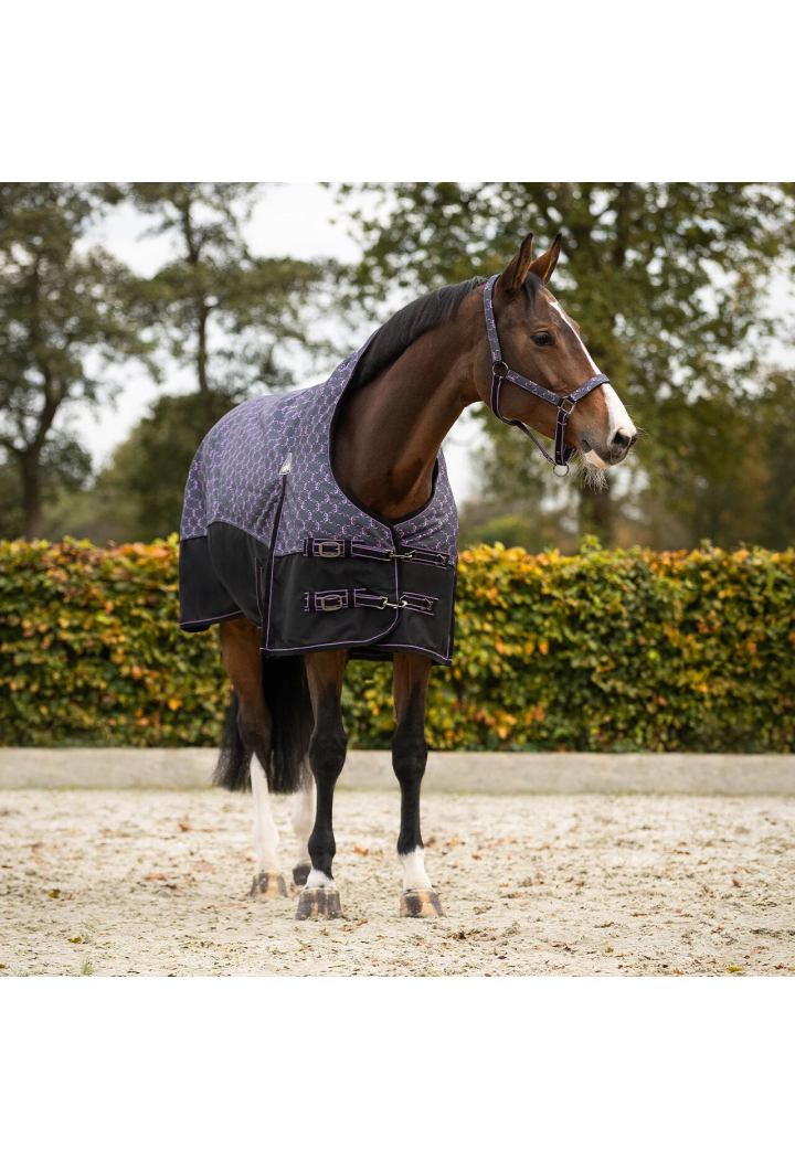 Coperta da paddock QHP collo sollevato 26AW 150gr