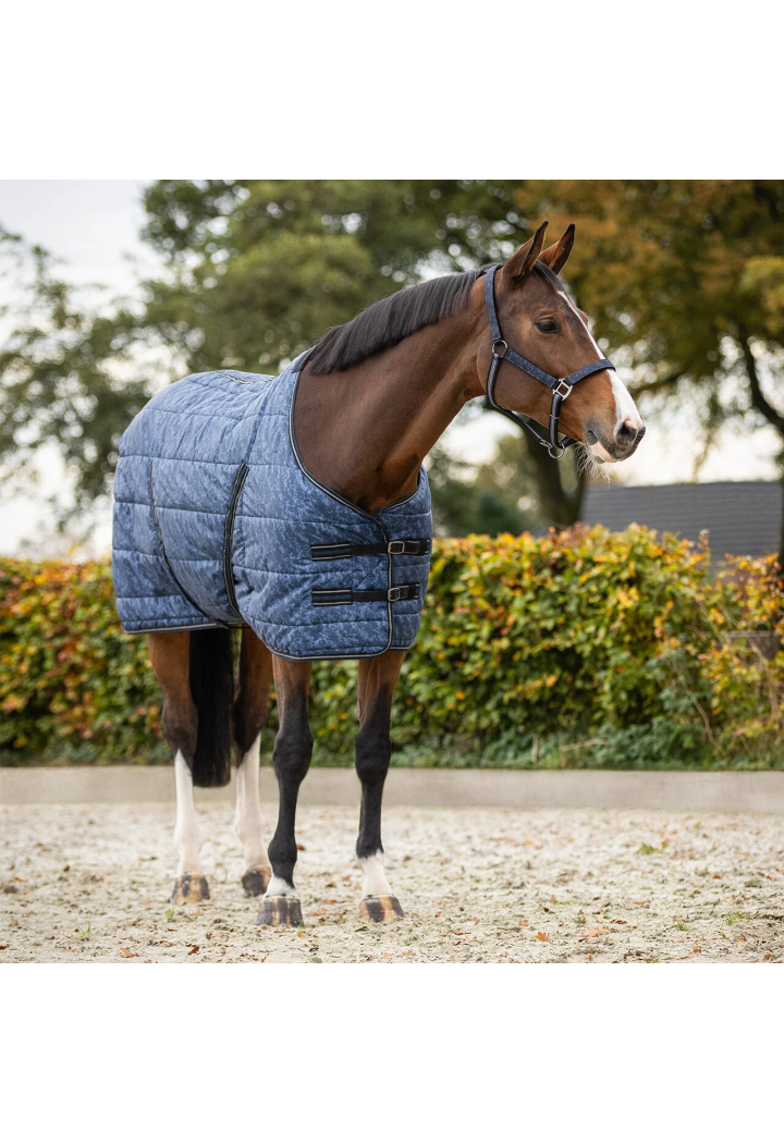 Coperta da scuderia QHP 26AW 200g