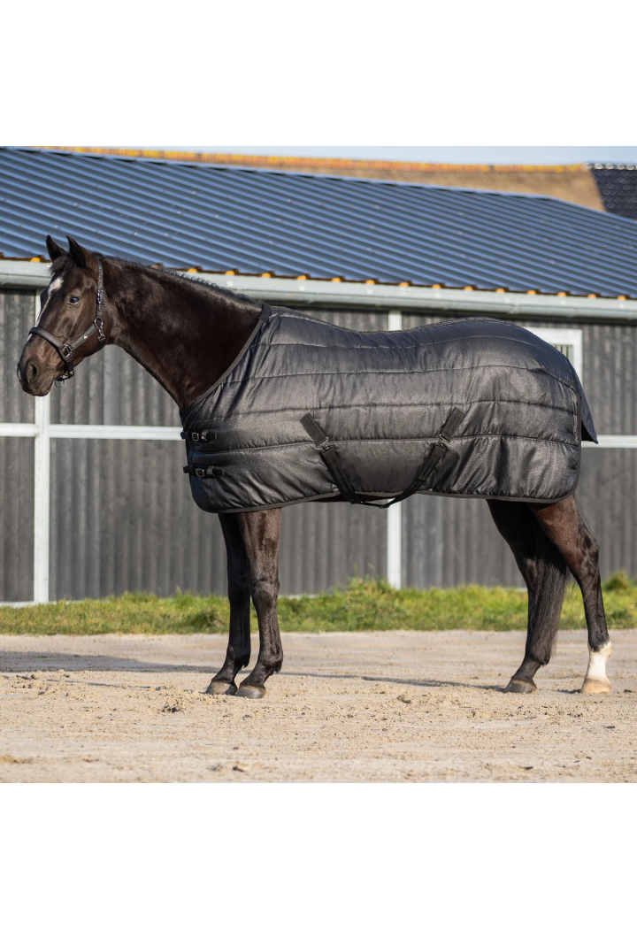 Stable rug QHP Glitter 150g 26AW