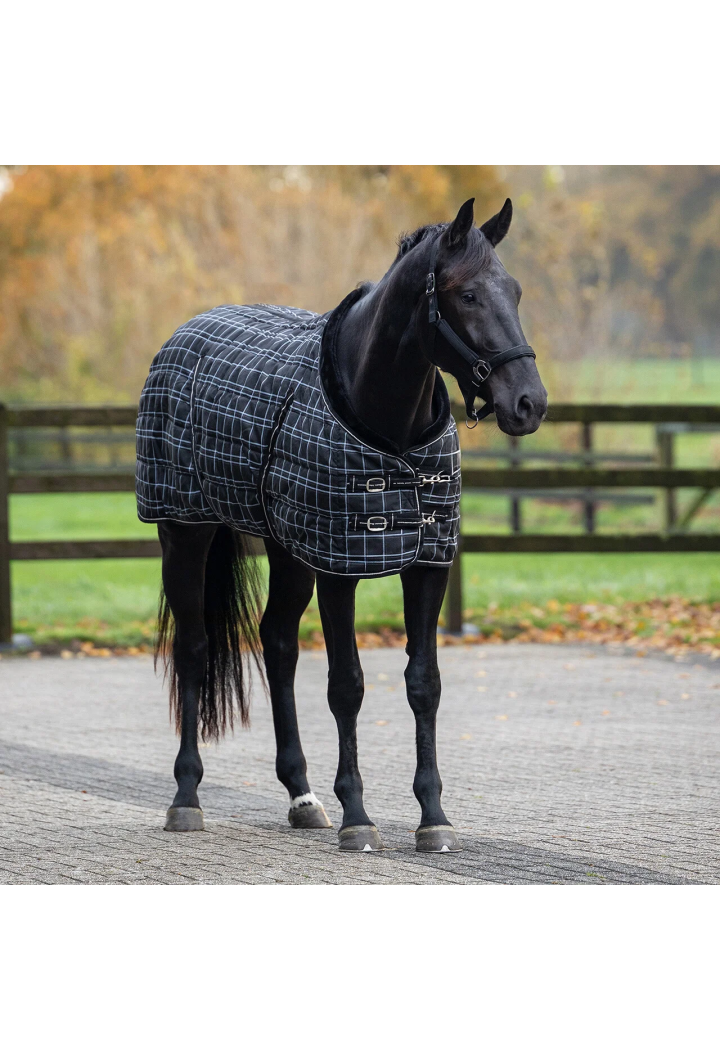 Coperta da scuderia QHP Lusso 250g