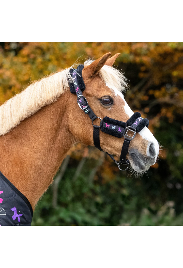 Headcollar with lead rope QHP 26AW Isalyn