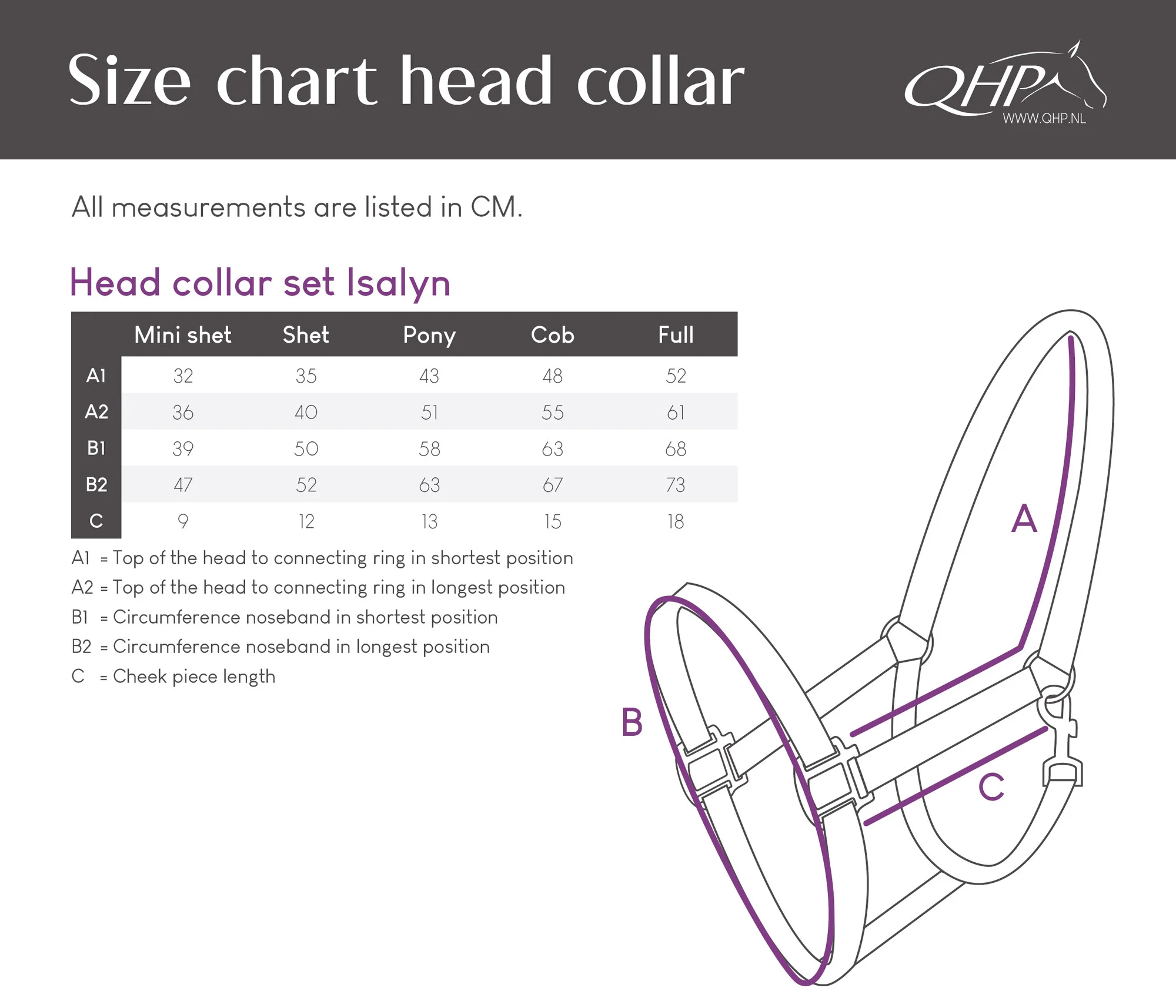 Halfter mit Führstrick QHP 26AW Isalyn