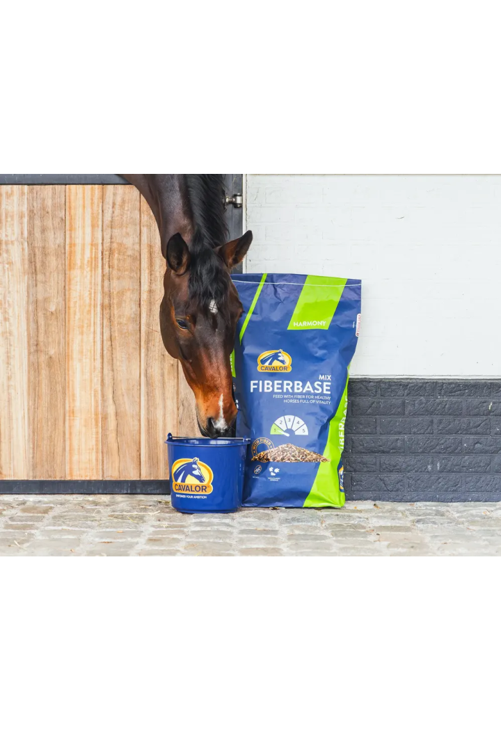 Feed CAVALOR FiberBase Mix 20kg musli