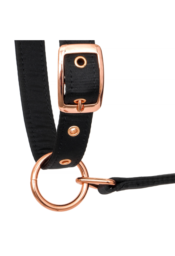Kantar EQUESTRIAN QUEEN Athens 26AW