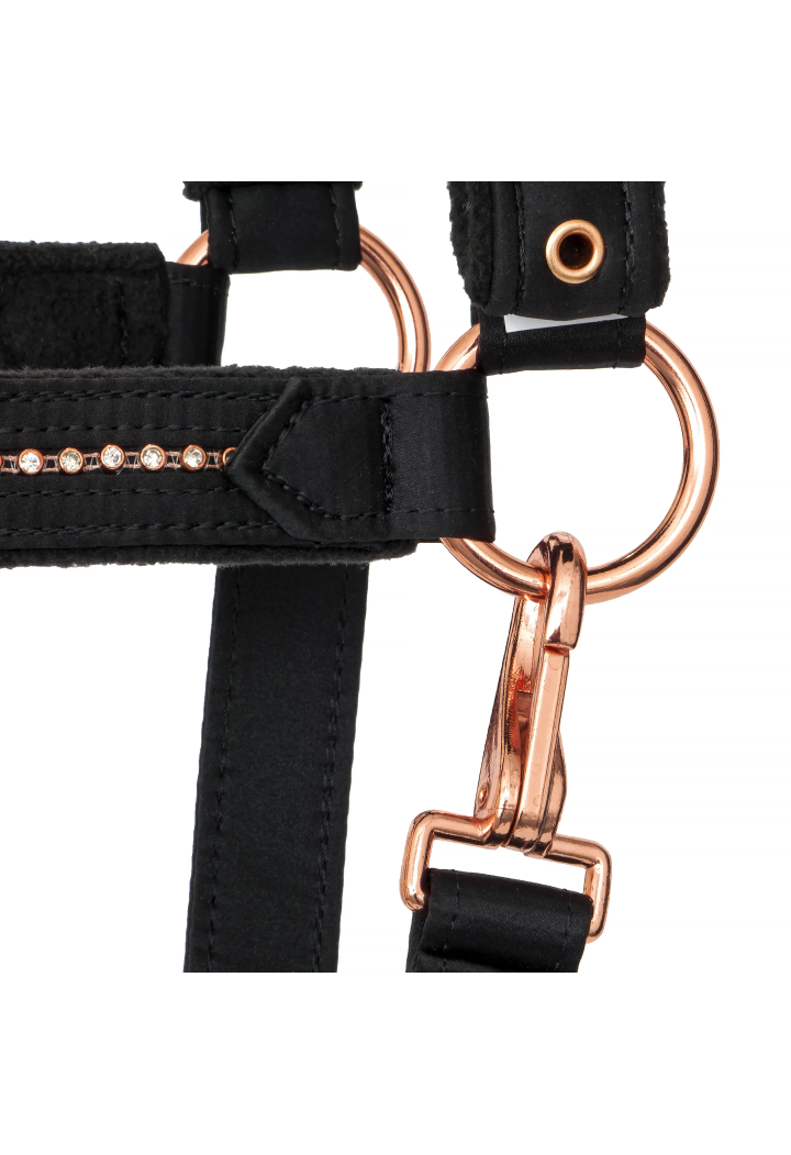 Kantar EQUESTRIAN QUEEN Athens 26AW
