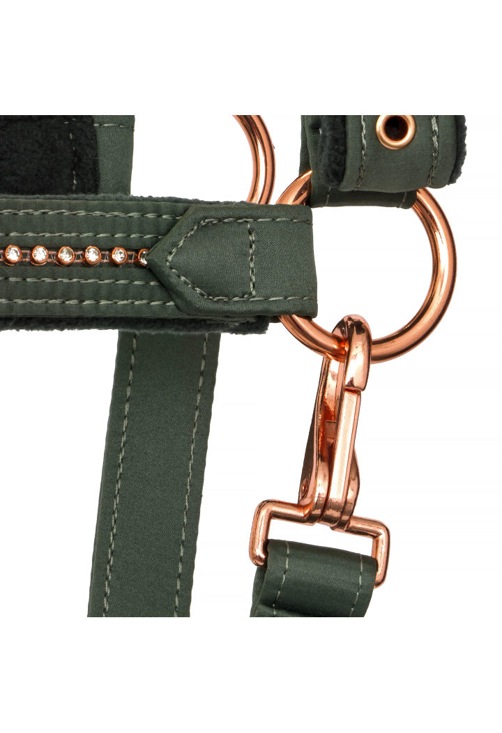 Kantar EQUESTRIAN QUEEN Athens 26AW
