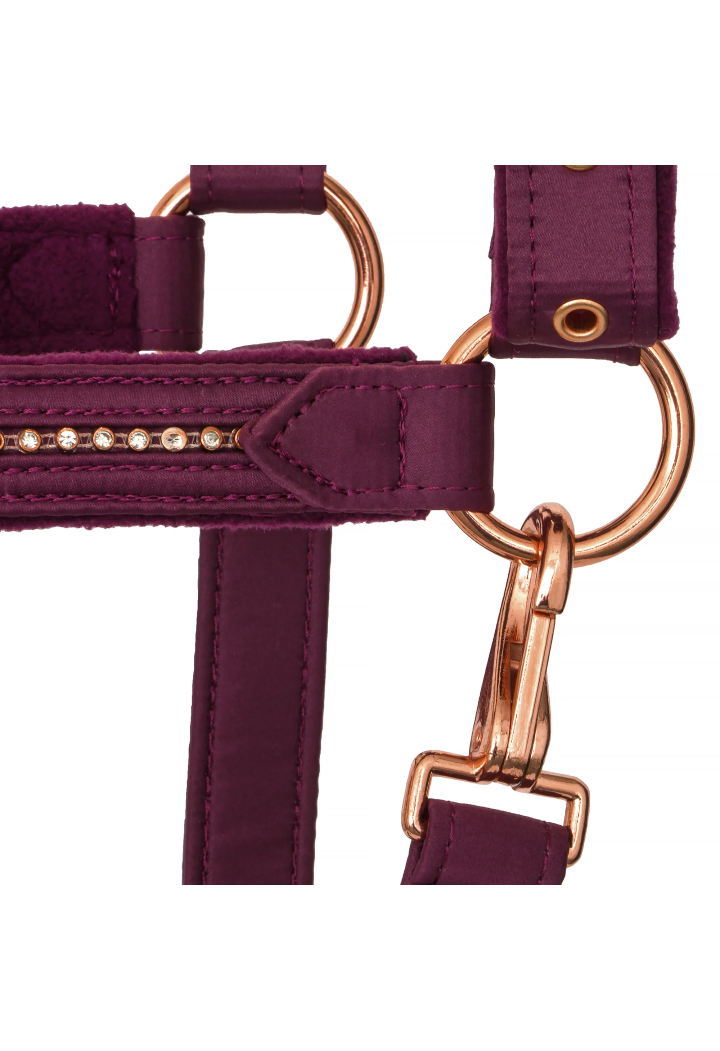 Cavezza EQUESTRIAN QUEEN Atene 26AW