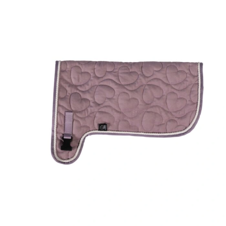 Pătură pentru cai dezumidificarea HKM Hobby Horsing