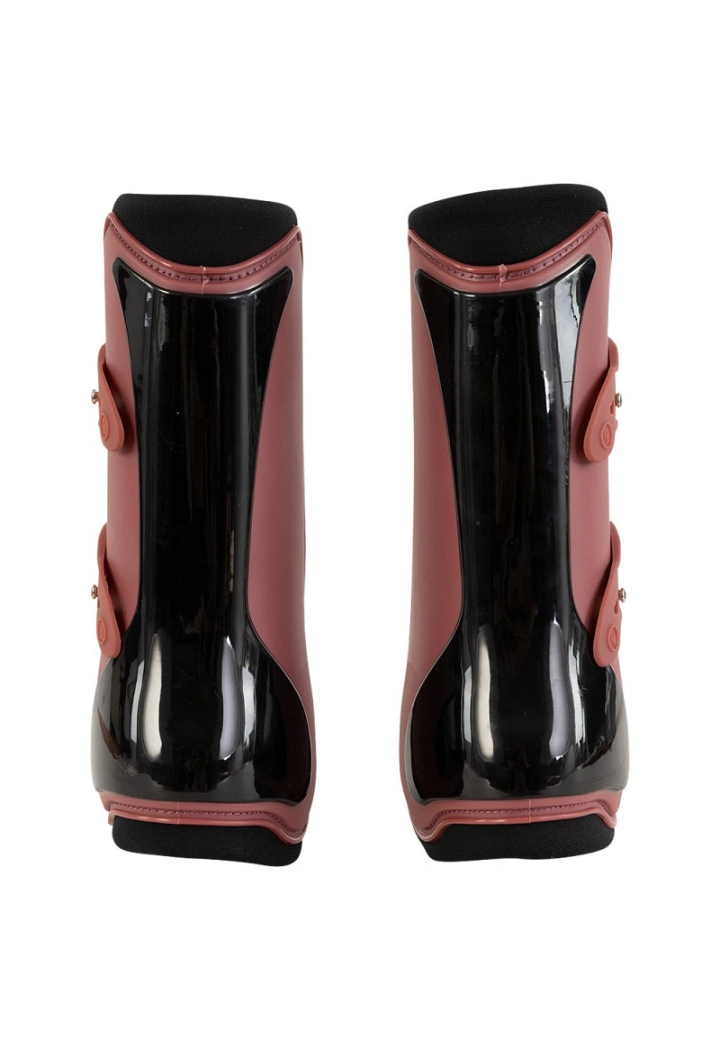 Protectori BR Lonneke 26AIn fata
