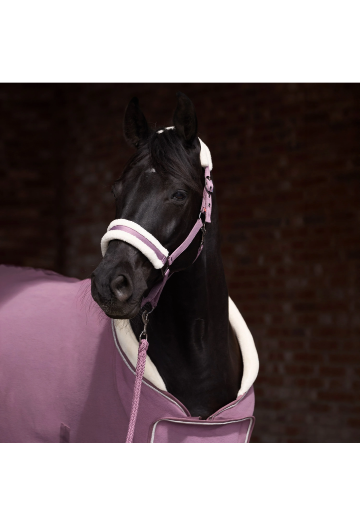 Headcollar with IR Classic Fur fur