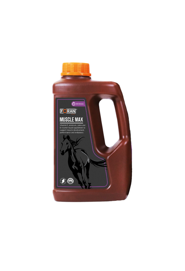 Muscle preparation FORAN MuscleMax 2,5l