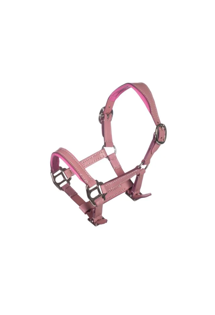 Headcollar leather HKM Hobby Horsing
