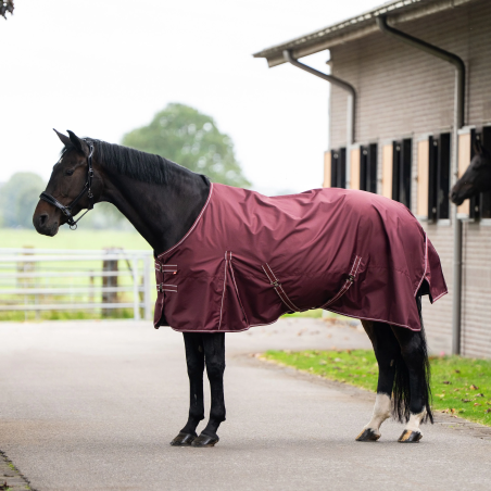 Turnout rug Imperial Riding 0gr
