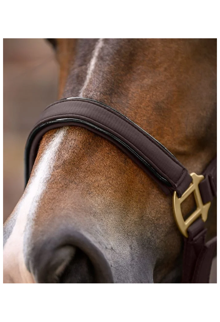 headcollar+lead rope WALDHAUSEN Ubud 26AW