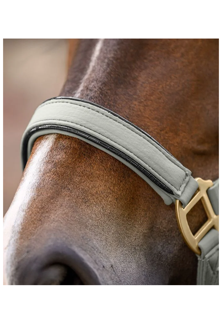 headcollar+lead rope WALDHAUSEN Ubud 26AW
