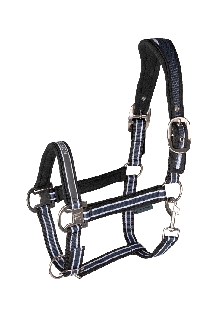Headcollar WALDHAUSEN Athletic
