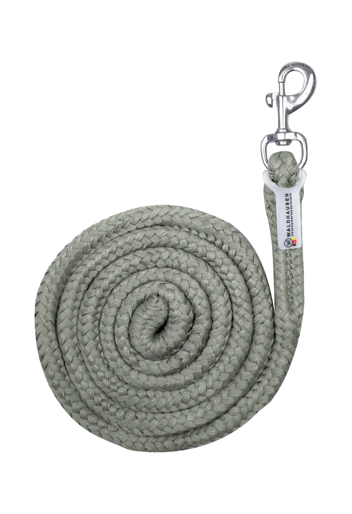 Führstrick WALDHAUSEN EconomicZ 26AW