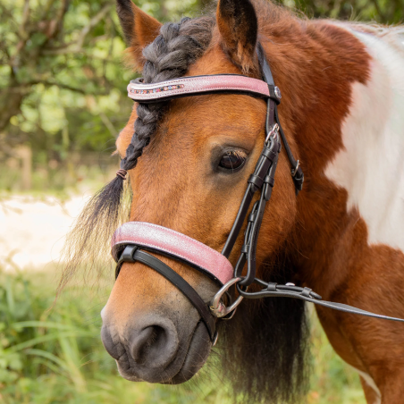 Testiera per pony HH Diva Mauvewood 26SS