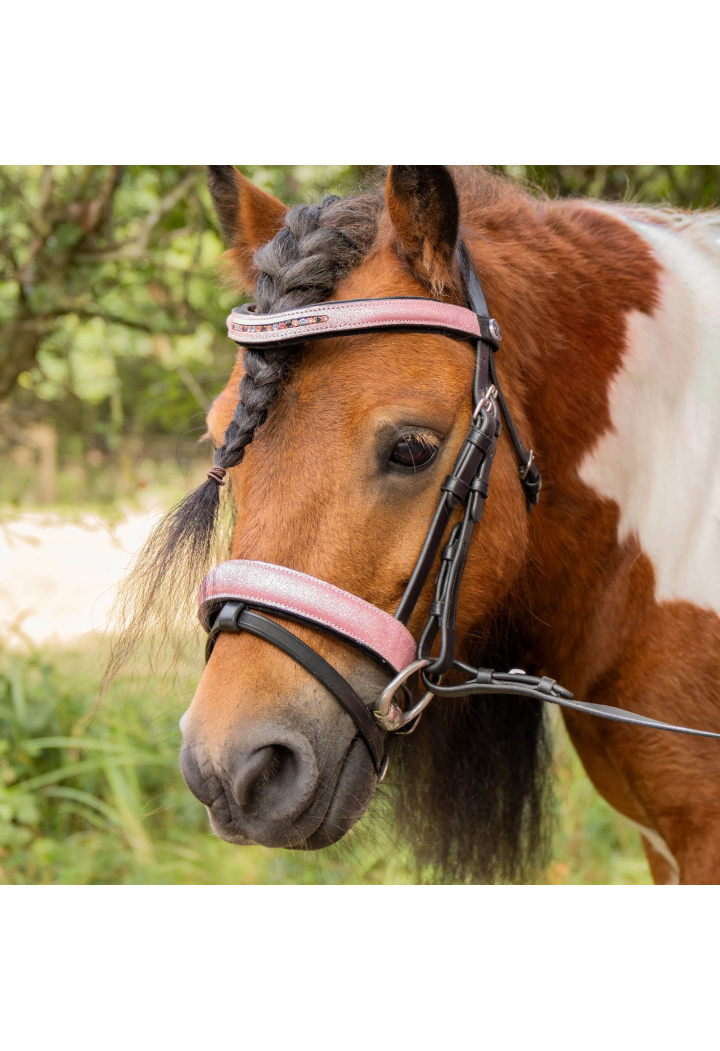 Bridle for pony HH Diva Mauvewood 26SS