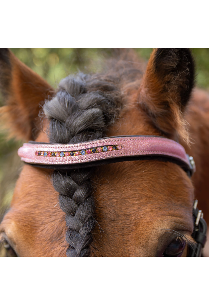 Bridle for pony HH Diva Mauvewood 26SS