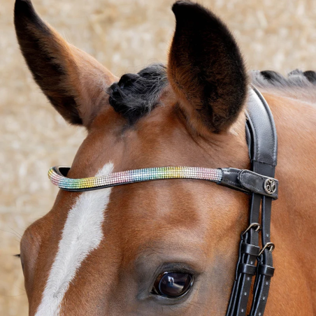 Fruntar Harry's Horse Rainbow