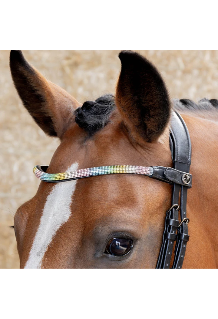 Browband Harry's Horse Rainbow