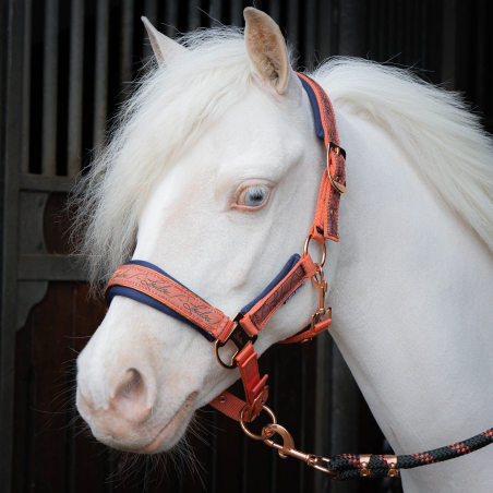 Kantar z uwiązem Harry's Horse LouLoul 26AW