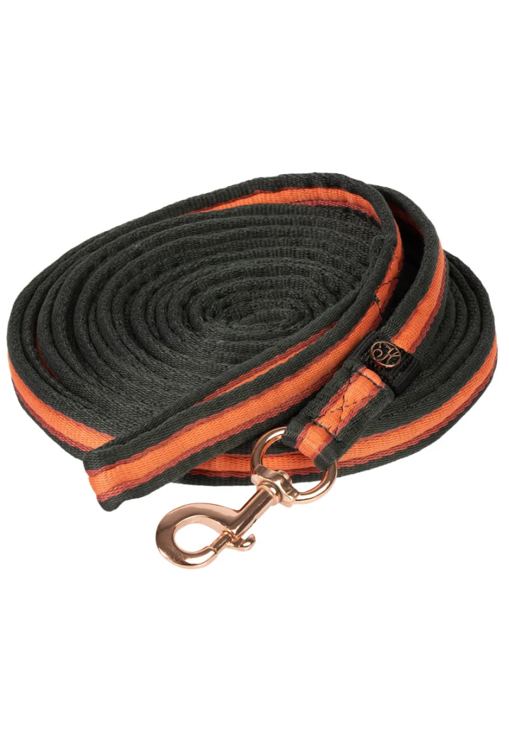 Longia Harry's Horse Soft Stripe 26AW