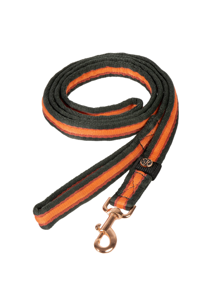 Vodítko Harry's Horse Soft Stripe 26AW