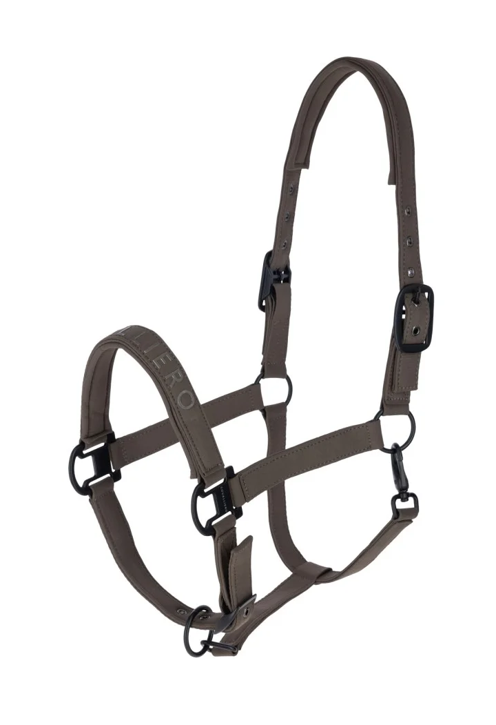 Cavezza COVALLIERO 26AW