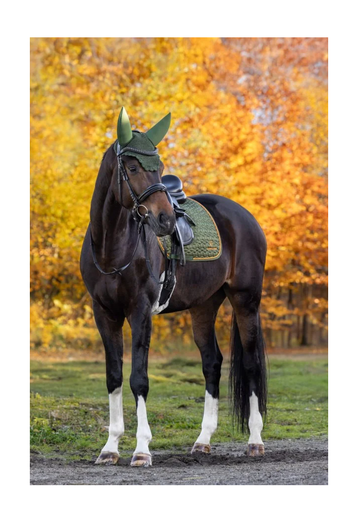 Schabracke COVALLIERO Soft 26AW
