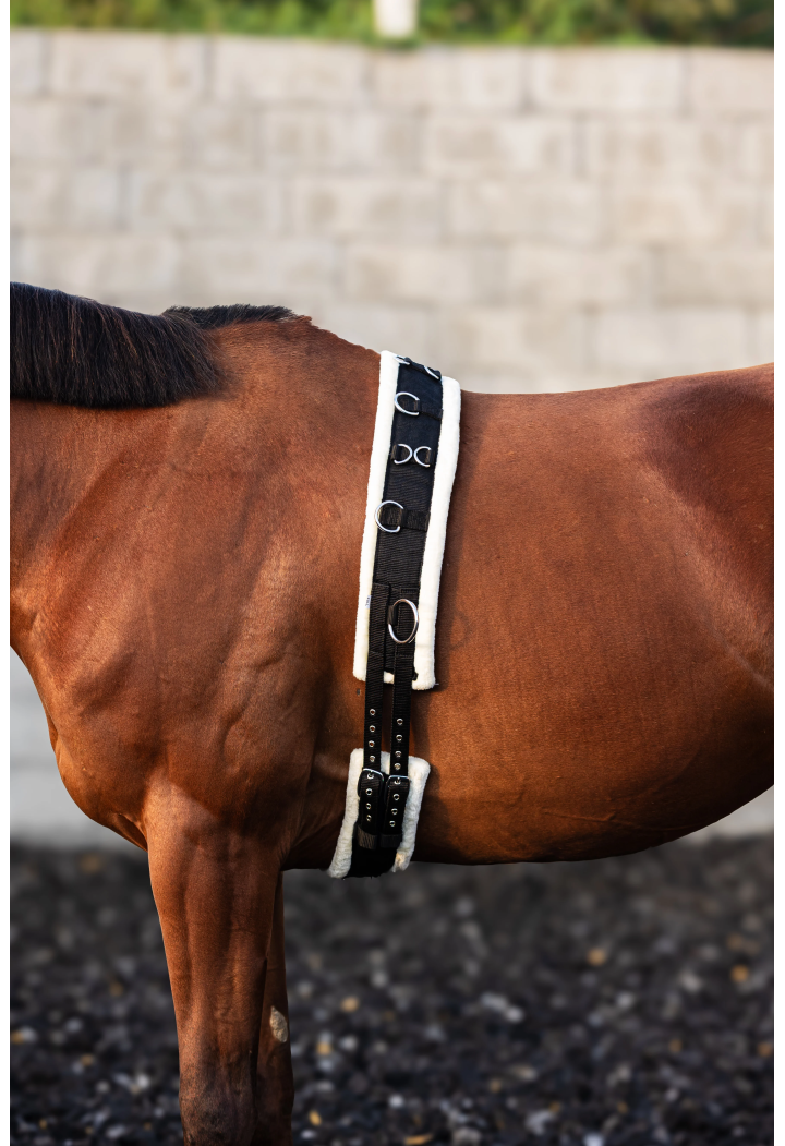 START Mink Loncing Belt