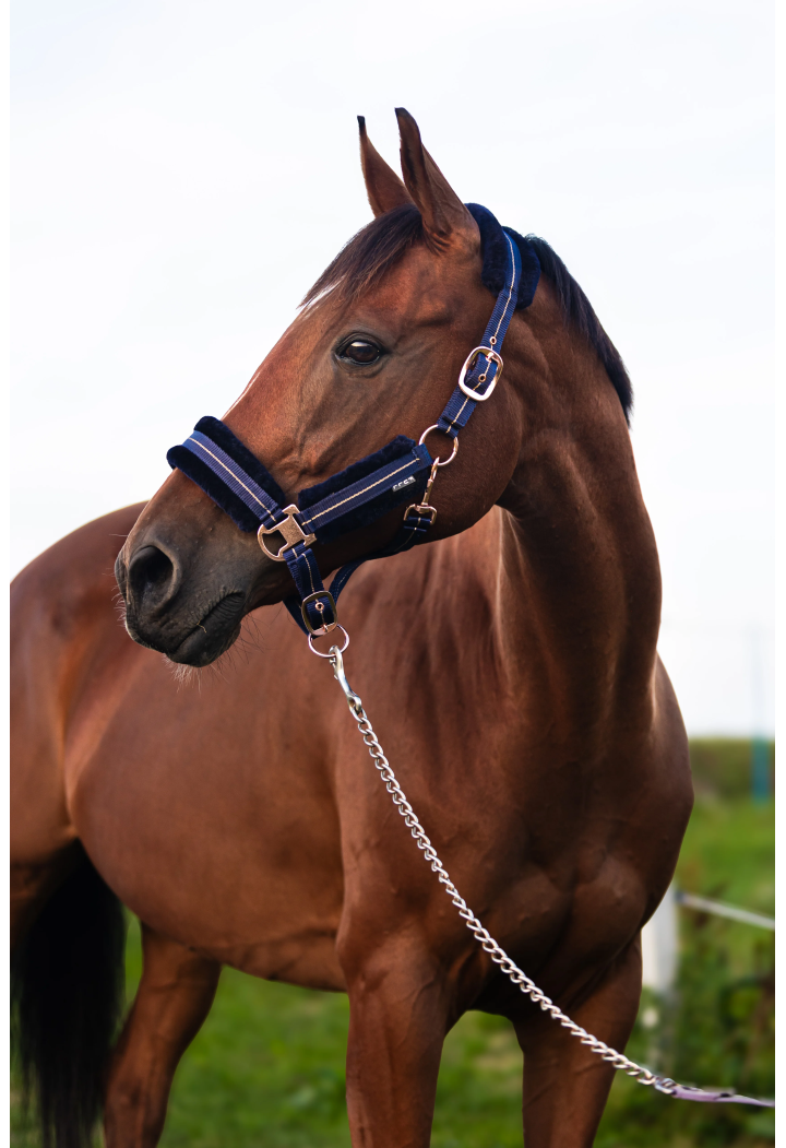 Halfter START Mink RoseGold
