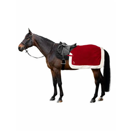 Horse rug training HORZE Christmas Red