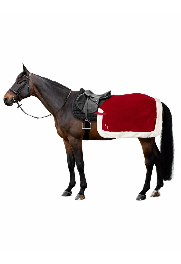 Horse rug training HORZE Christmas Red