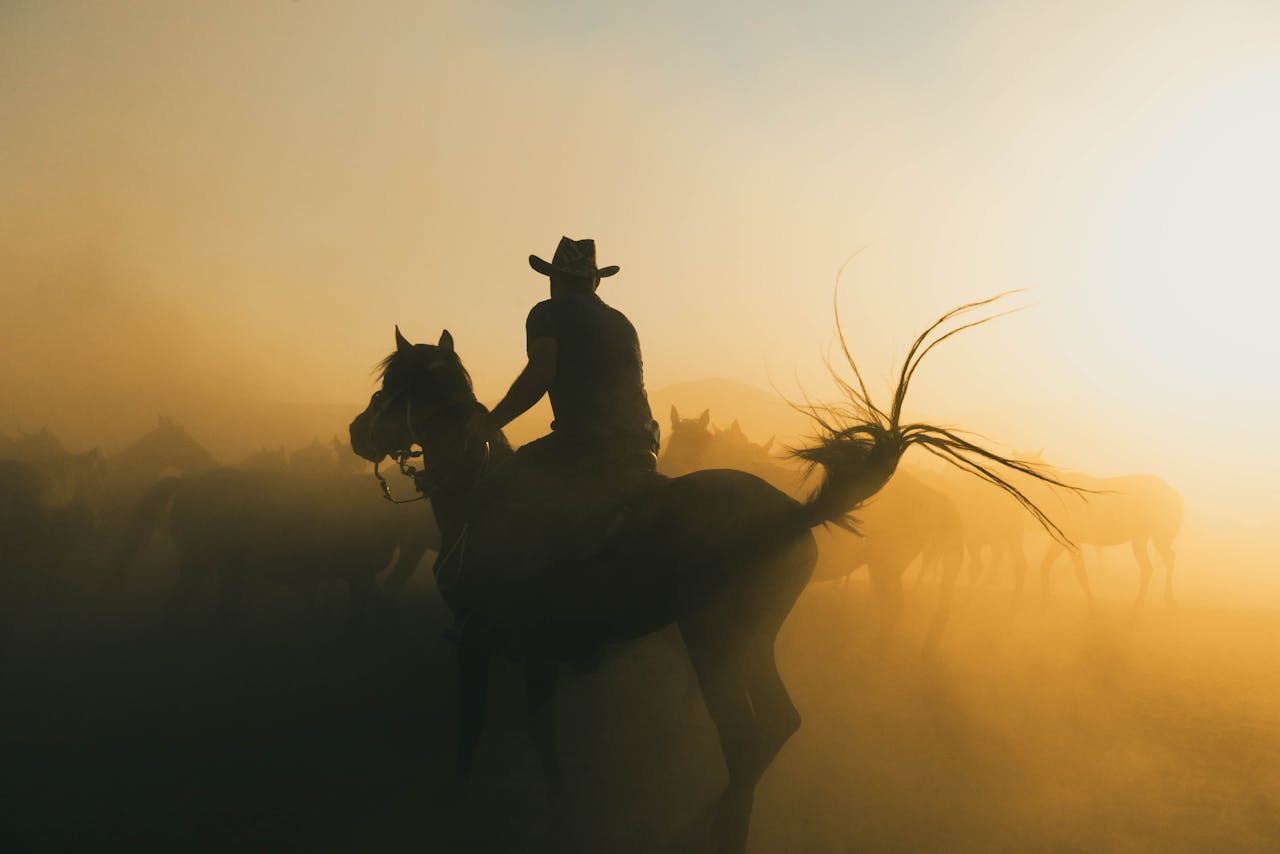 Reining western: Kluczowe informacje i techniki dla początkujących