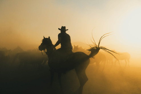 Reining western: Kluczowe informacje i techniki dla początkujących