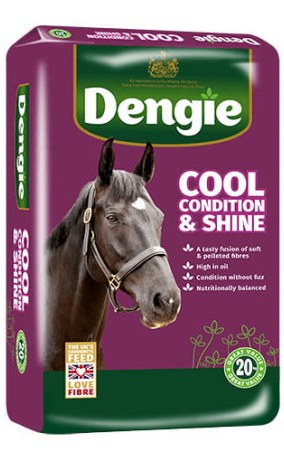 Sieczka DENGIE Condition&Shine 20kg