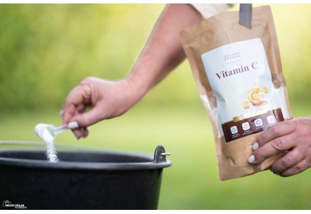 Witamina C OH Vitamin C 600g