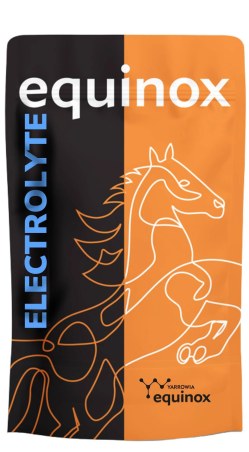 Elektrolity YARROWIA Equinox Electrolyte 0,9kg