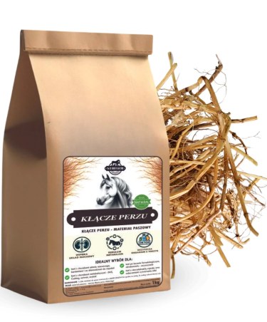 Kłącze perzu SAMFARM 500g