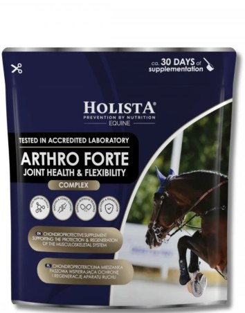 Suplement na stawy HOLISTA Arthro Forte 600g